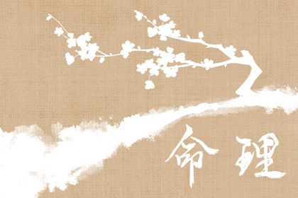 今日农历,农历日历转换查询,农历查询三九