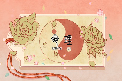 全民农历日历,日历网老黄历,2026日历农历表完整版